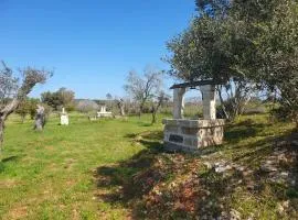 Agricampeggio Tenuta Ferrario