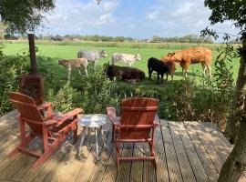 RUSTIG landelijk chalet met panoramaview & comfort，位于Dronrijp的木屋