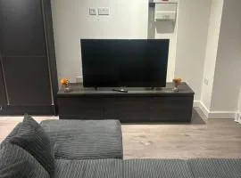 Cozy flat near central london