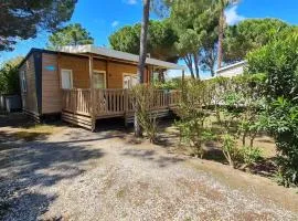Mobil Home récent Camping La Palmeraie