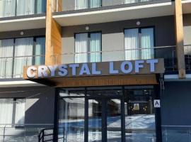 Crystal Loft Bakuriani Apartment，位于巴库里阿尼的酒店