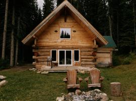 Rustic Dream Cabin at Beaverfoot，位于Parson的酒店