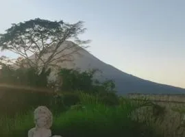The Bunut Villas
