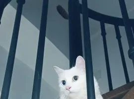 The white cat