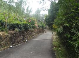 Bisso Village Estate Resort, Eheliyagoda，位于Eheliyagoda的酒店
