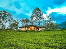 Viriparai Tea Bungalow Munnar by VOYE HOMES