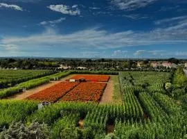 Appartamento La Rondine