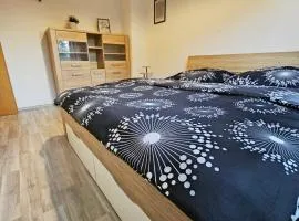Ferienwohnung mit Balkon in Weißenfels