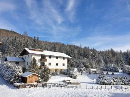 Ferienhaus Schäfer - Apartments - Wintersports - Family holiday - Holiday with your dog - Rural & Scenic，位于Flattnitz的酒店
