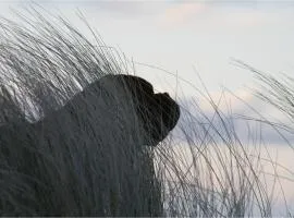 Bungalow RUHE UND STURM direkt am STRAND mit KAMIN nur für ERWACHSENE