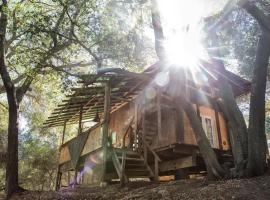 Japanese Tea House with Private Mountain Trails and Creek，位于Topanga Park的酒店
