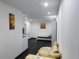 Modernes einzimmer Apartment