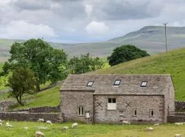 Stay Lambing Live