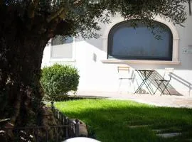 Casa Catone (affitta camere)