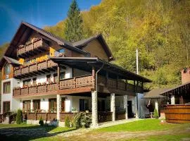 Pensiunea Drumul Iancului