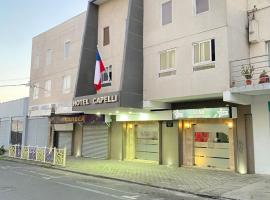 Hotel Capelli Talca，位于塔尔卡的酒店