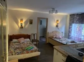 Nice - 2-bedroom - 3 big beds Rahu