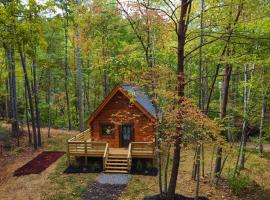 Emerald Forest! Romance, Luxury and nature mins to PF and GB，位于赛维尔维尔的酒店