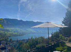 Chalet Seeblick，位于萨尔嫩的木屋