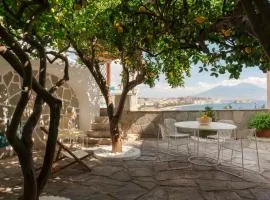 Jallo & Blue petite Suite