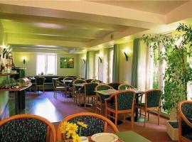 Ringhotel Altstadt S，位于居斯特罗的酒店