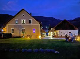 The old Village Villa At 2 Geese with Pool，位于Pišece的酒店