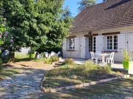 Bienvenue chez Choupette II