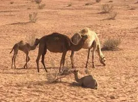 Wadi Rum Camp