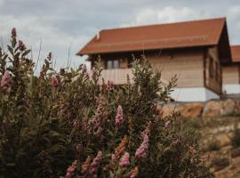 Oberwald Chalets 1，位于肖顿的酒店