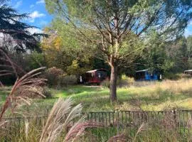 Les roulottes de Fonroques - logement insolite dans la nature