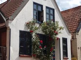 Tiny House - Kleines Glück auf dem Ostedeich