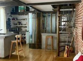 Logement de charme type loft parisien