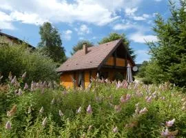 Chalet Le Pin à 2 pas de GERARDMER, dans la vallée des lacs