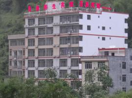 巴马圣泉养生宾馆，位于河池的酒店