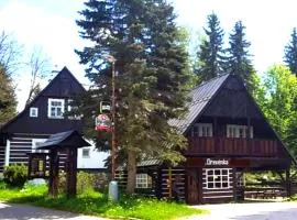 Pension Dřevěnka