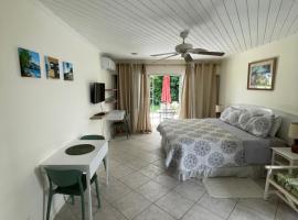 Charming Ground-Floor Studio in South Coast Barbados，位于布里奇敦的酒店