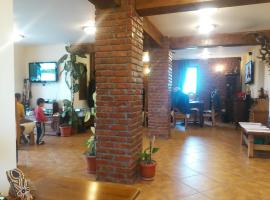 Hotel Bacsoridana，位于Tecuci的酒店