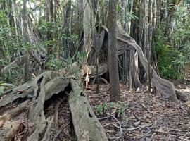 Atacuari Salvaje Tours Amazonas，位于San Juan de Atacuari的乡村别墅