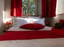 Chambre Jonquille avec entrée privée et animaux admis - FR-1-589-718