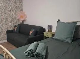 Chambre Cheverny: Maison d'hôtes avec piscine chauffée & petit-déjeuner inclus - FR-1-590-489