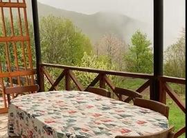 Gudauri Deka House，位于古多里的酒店