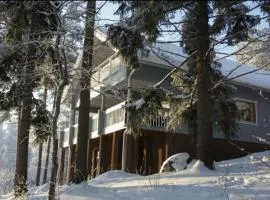 Tahkon Riihiranta - 4 bedroom villa with lake view - Tilava mökki rantanäkymin