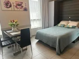 Studio charmant à La Ferrière-aux-Étangs, 27 m², avec Spa