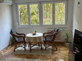 Apartman Tejsi，位于Tošin Bunar的酒店