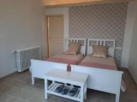 Chambres d'hôtes, parc, dîner dispo - FR-1-591-701