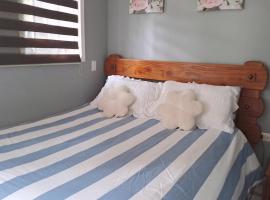 HOSTAL EL AROMO CHILLÁN，位于奇廉的酒店