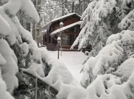 Karinna Orman Evleri