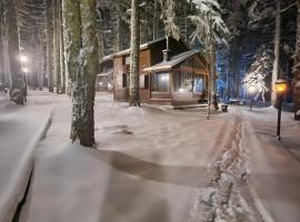 Karinna Orman Evleri，位于乌鲁达的酒店