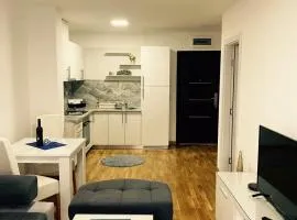 Apartman Avangarda