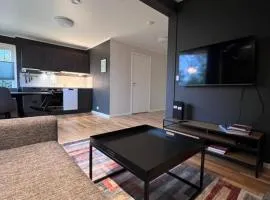 Modern Arctic Residence